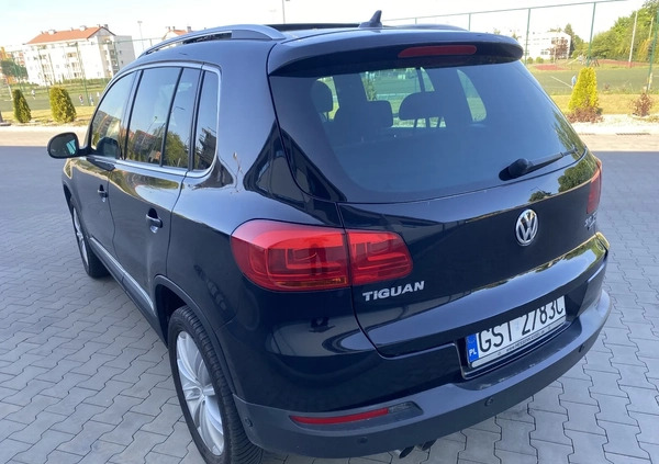 Volkswagen Tiguan cena 53999 przebieg: 163000, rok produkcji 2013 z Rymanów małe 781